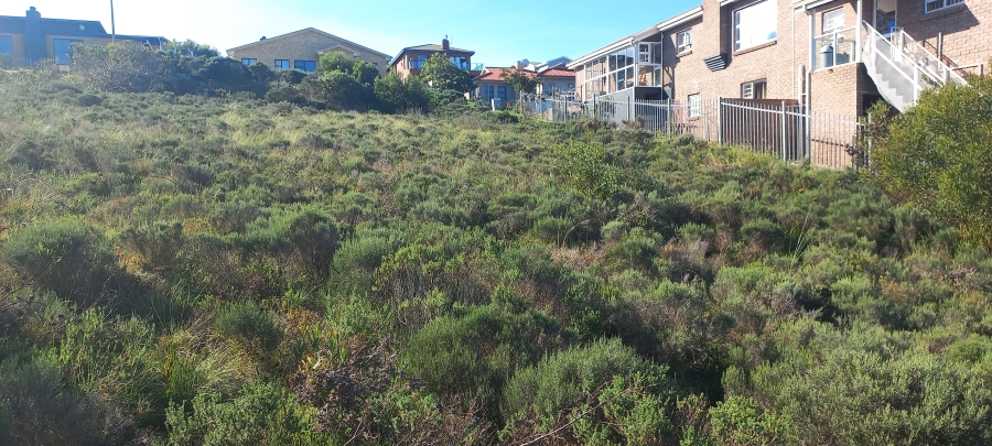 0 Bedroom Property for Sale in Seemeeu Park Western Cape